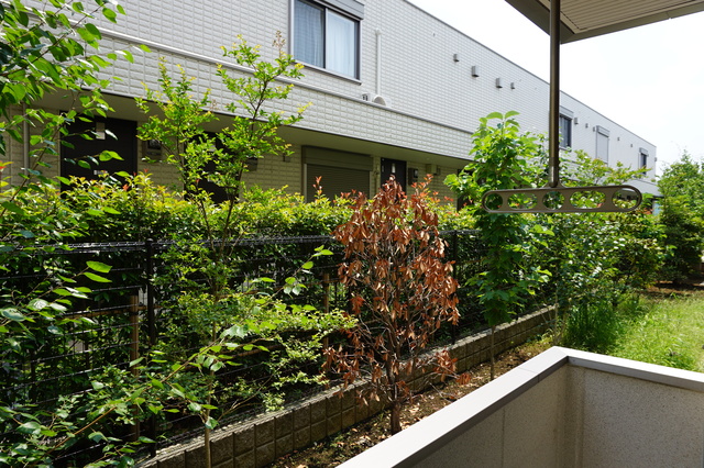 フェリーチェ・１(フェリーチェワン)101号室 展望