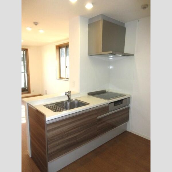 フロンティア南大泉201号室 キッチン流し台