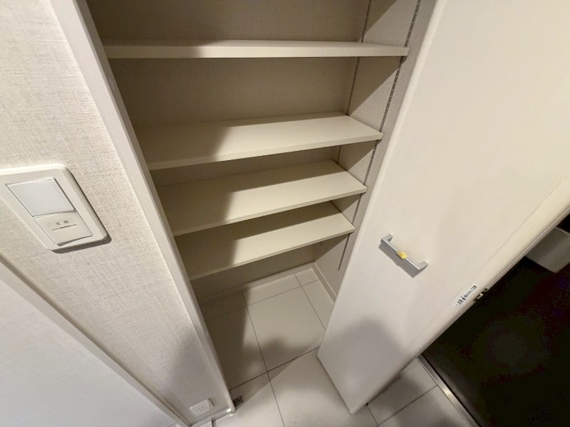 DIPS墨田EASTⅡ2階 下足入れ