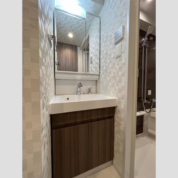 S-RESIDENCE両国serea202号室 洗面