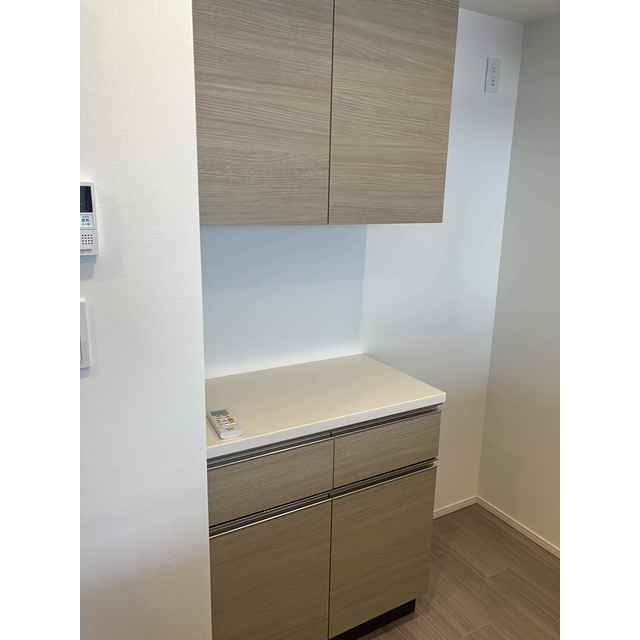 ザ・パークハビオ本所吾妻橋901号室 食器棚・2026年1月31日撮影