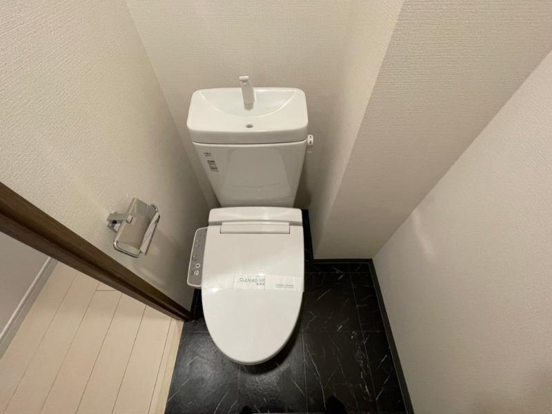 ドムス・スタイル銀座東11階 トイレ