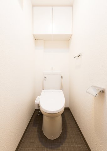 DIPS大山熊野町203号室 トイレ