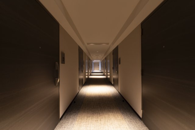 プラウドフラット南品川314号室 廊下　※参考写真