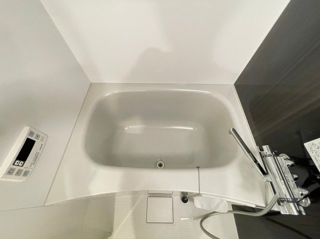 DIPS高田馬場駅前302号室 お風呂