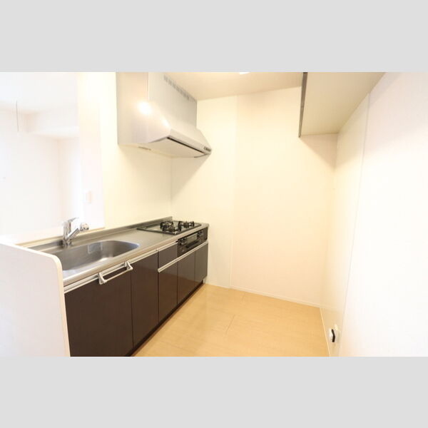 アクアプールス　Ⅱ システムキッチン