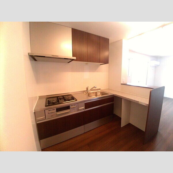 ブリュンヒルト202号室 システムキッチン