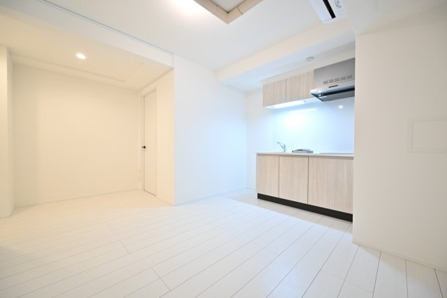 Ｔｈｅ　Ｒｅｓｉｄｅｎｃｅ　Ｎｉｈｏｎｂａｓｈｉ地下1階 リビング