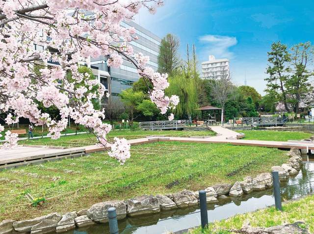 ガーラ・アヴェニュー東大島3階 仙台堀川公園