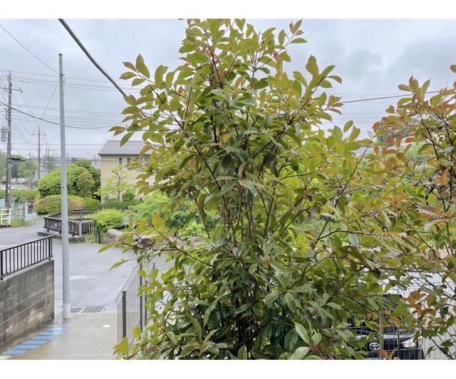 Ｌａ　Ｍａｉｓｏｎ　ｄ’ａｖｒｉｌ 建物その他