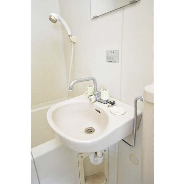 ヒルズガーデン東雪谷0303号室 洗面