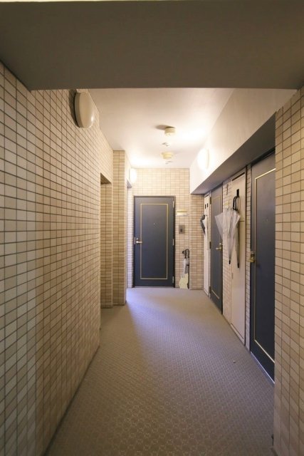 ロイヤルアメニティー西戸山901号室 同建物別部屋の参考画像