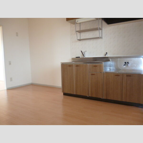 ニューエクセルハイム キッチン