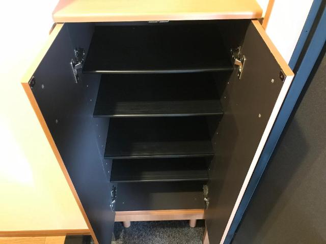 ヒーリングカーサⅡ 下駄箱