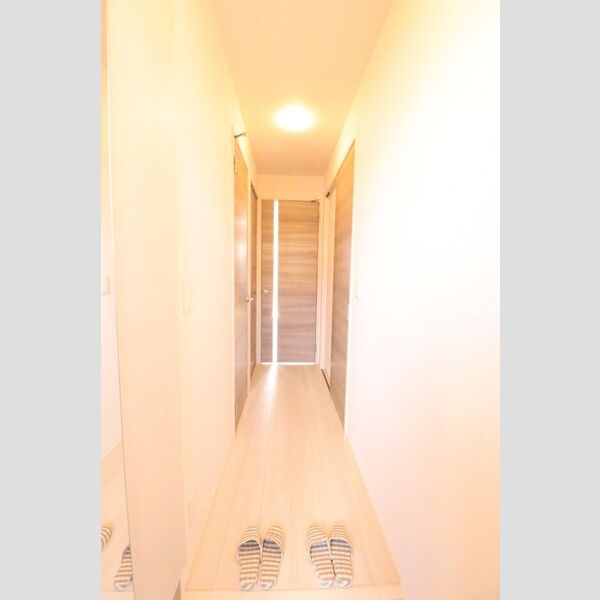 ルミナーレ 玄関