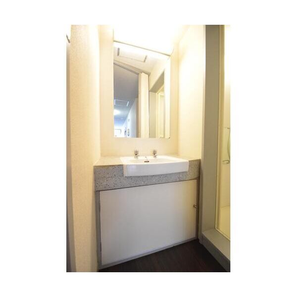 シャトレ市ヶ谷1108号室 洗面