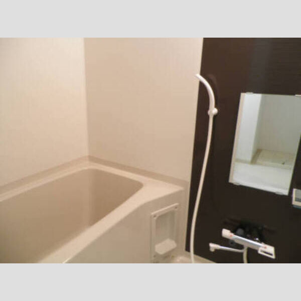 セリーン志村306号室 206-506 浴室