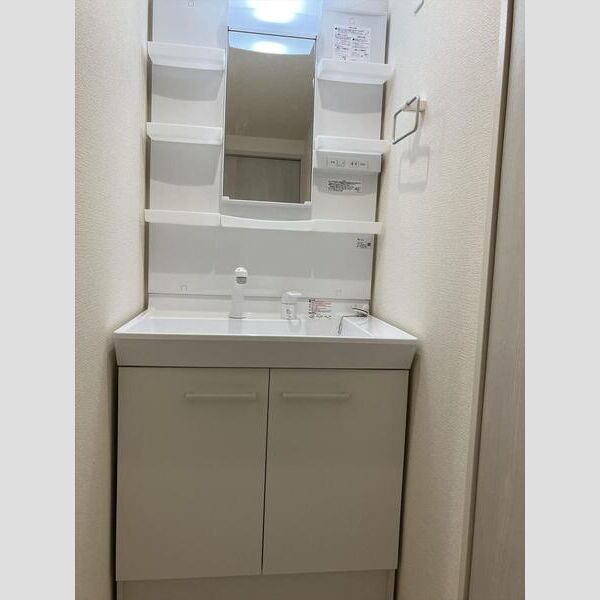 リーブルファイン柏高田203号室 洗面