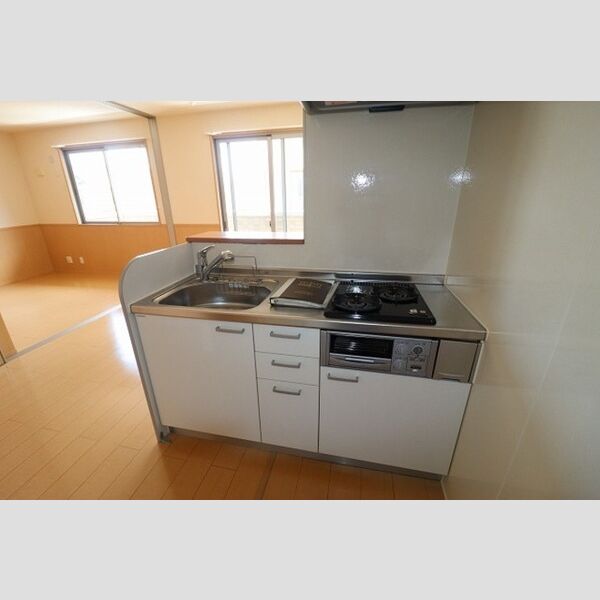 アルシュ　川201号室 システムキッチン