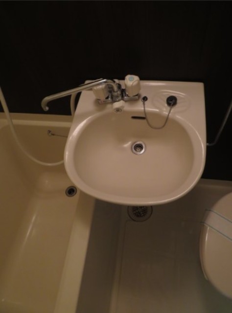 ＳＡＮＫＯ　ＨＥＩＧＨＴＳ　ＯＳＡＫＩ0212号室 洗面