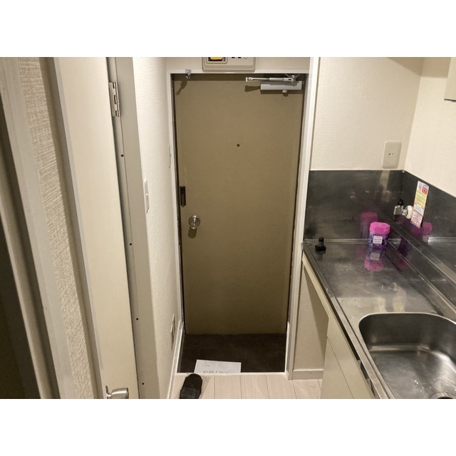 プラザ・ドゥ・シュバリエ107号室 玄関