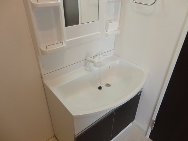 ライズウィング 洗髪洗面化粧台