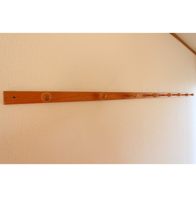 ラ・ヴィータ201号室 ハンガー掛け