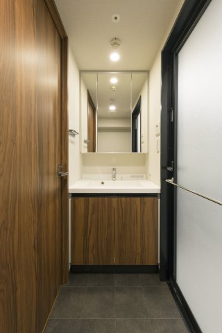 DIPS上野NORTH1003号室 洗面