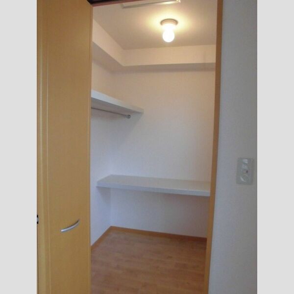 テラス原山 二階　洋室ウォークインクローゼット