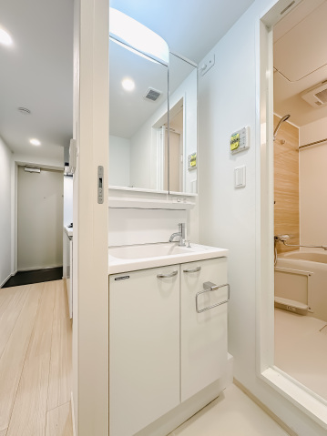 スカイコートリュクス品川大崎202号室 洗面