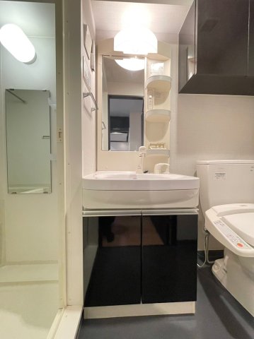 グラントゥルース田端501号室 洗面