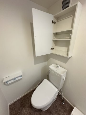 T&Fレジデンス南林間B301号室 トイレ
