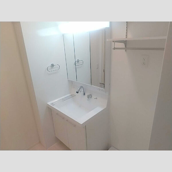 アネモネ元本郷101号室 洗面