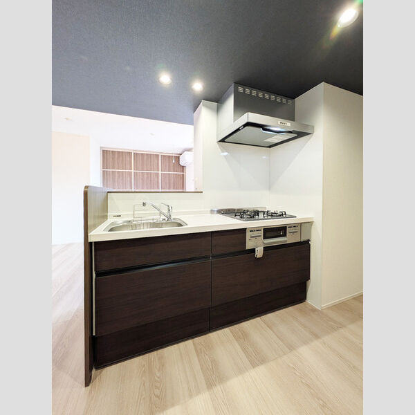 エスペリア相模が丘5丁目202号室 キッチン