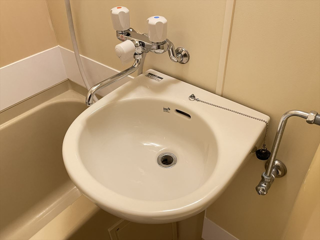 スカイコート下北沢504号室 洗面