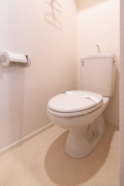 メゾン・ド・ソレイユ千住北1階 トイレ