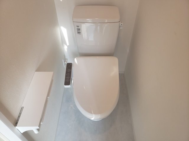 Ｔｈｅ　Ｒｅｓｉｄｅｎｔｉａｌ浅草0301号室 トイレ