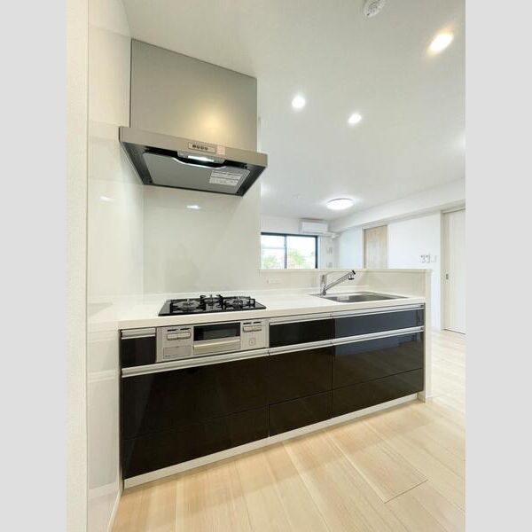S-RESIDENCE富士見ヶ丘afford302号室 キッチン