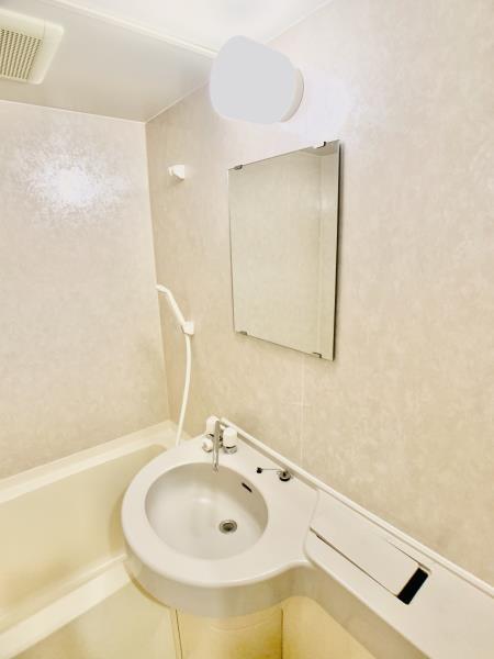 ベルレージュ亀戸 洗面