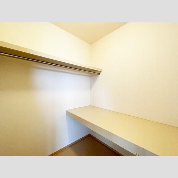 Sejour BoW(セジュール　ボウ)301号室 ウォークインクローゼット