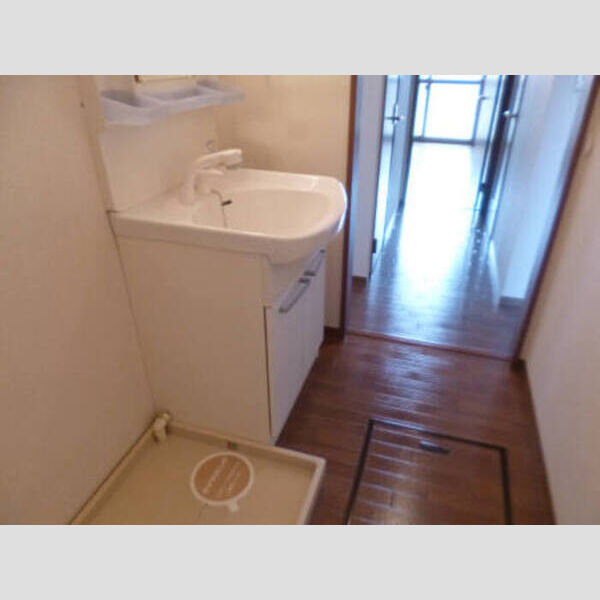 メゾン・ルミエール 202 洗面室