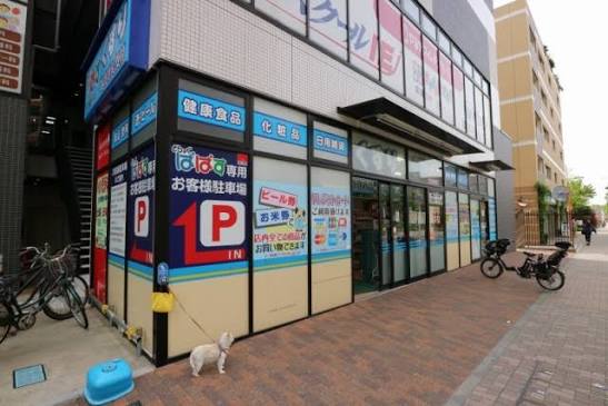 ルーブル武蔵小杉2階 【ドラッグストア】どらっぐぱぱす武蔵小杉店まで983ｍ