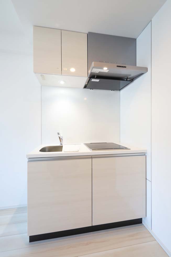 ハーモニーレジデンス巣鴨山手インサイド5階 内観