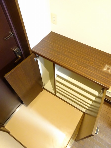 ラウム武蔵中原Ａ棟602号室 収納