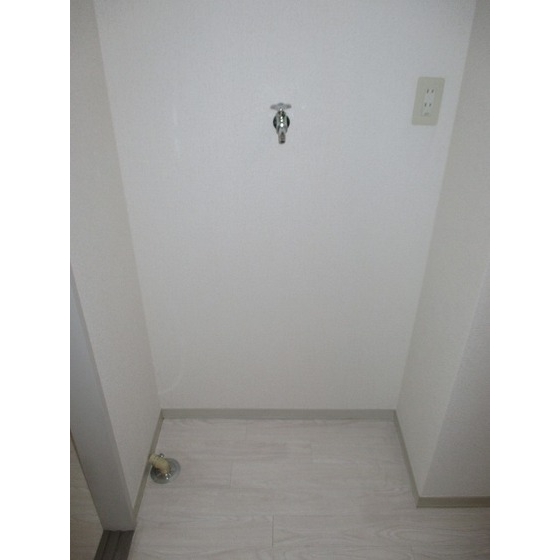 ドウェル・フロイデ0202号室 室内洗濯機置き場