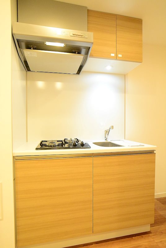 グランドコンシェルジュ大森 ※カラータイプ異なります。