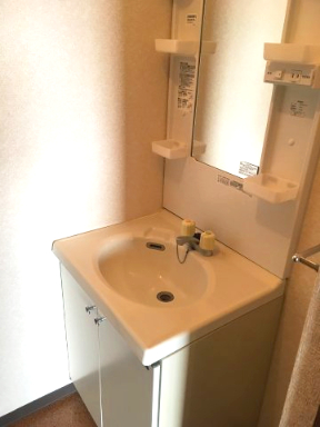 スプリームヒル201号室 洗面