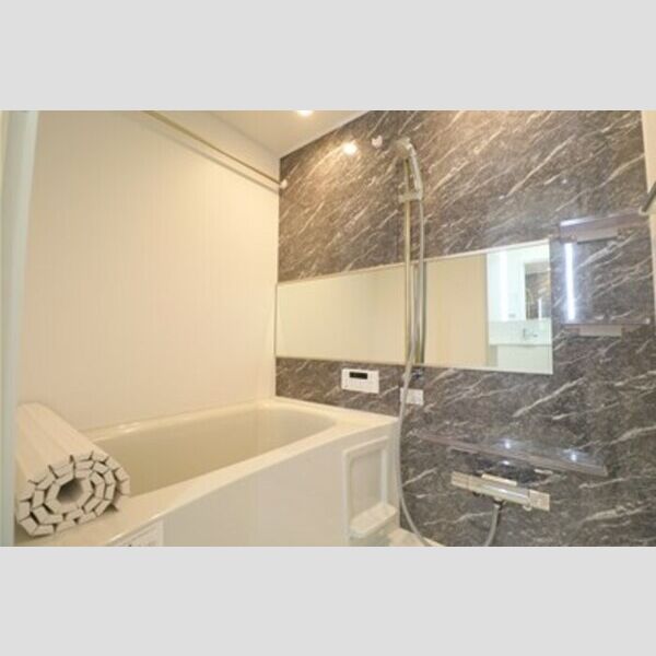 D Paina 上平間Ⅱ ユニットバス