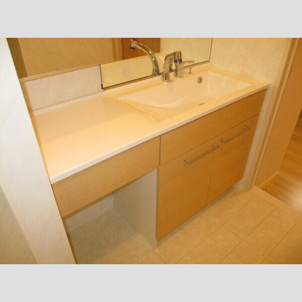 ロジュマン エスト 201(洗髪洗面化粧台)