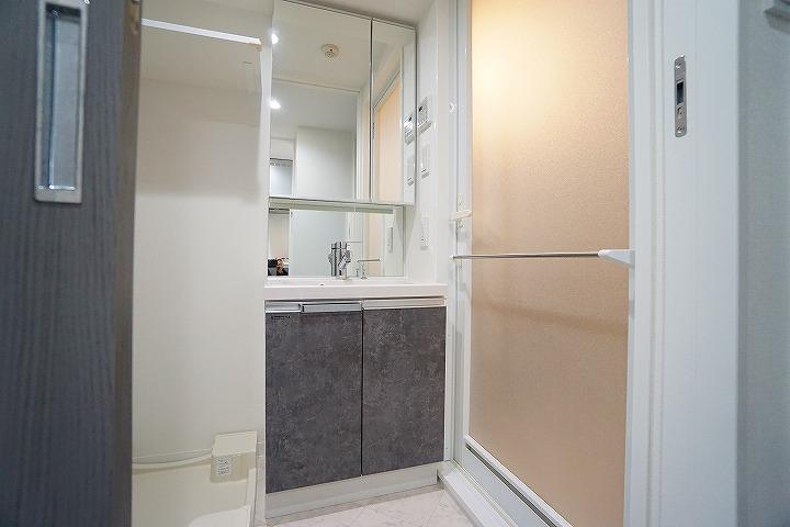 GRAN PASEO巣鴨3階 洗面所